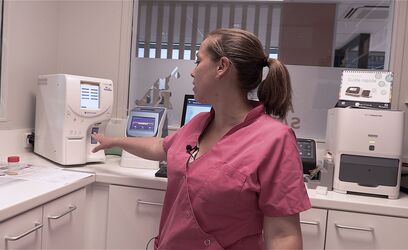 Examens d’Imagerie et Analyses